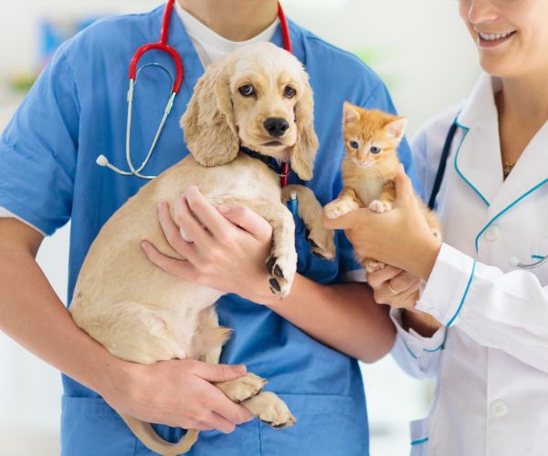 Vets holding a puppy and kitten