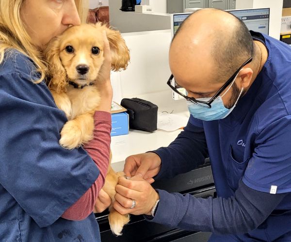 a man and a woman holding a small dog