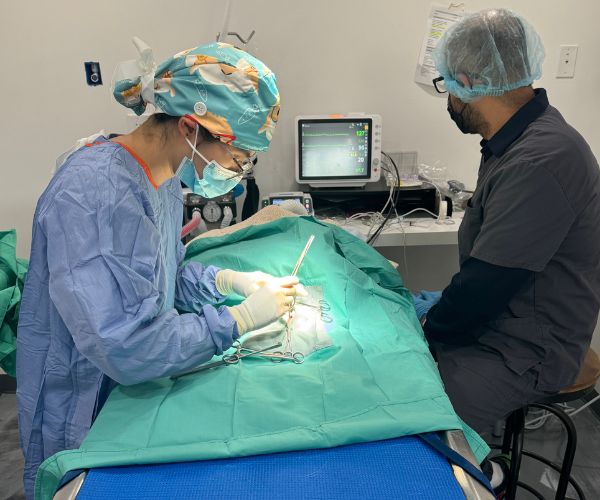 wo veterinarians are performing surgery on a patient in a hospital